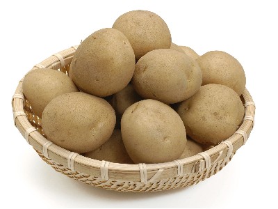 嘉友問(wèn)答：嘉友1MM土豆餅干的土豆來(lái)自哪里？