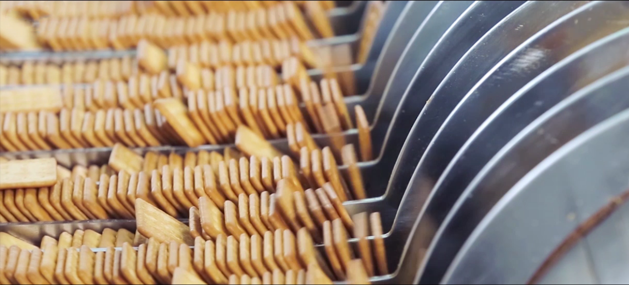 嘉友食品-餅干分類設(shè)備