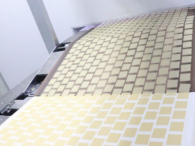 嘉友食品-傳送設(shè)備