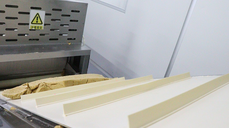 嘉友食品-傳送設(shè)備