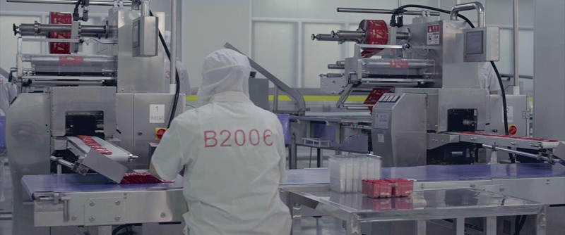 嘉友食品-員工作業(yè)