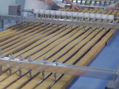 嘉友食品-餅干分類設(shè)備