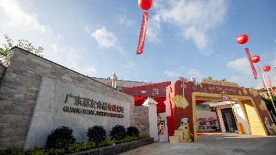 “鶯遷新嘉，群星匯聚”嘉友食品多彩活動盛情開展（下）