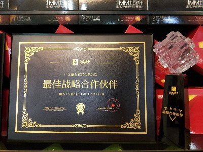 嘉友食品-2019年獲得最佳戰(zhàn)略合作獎