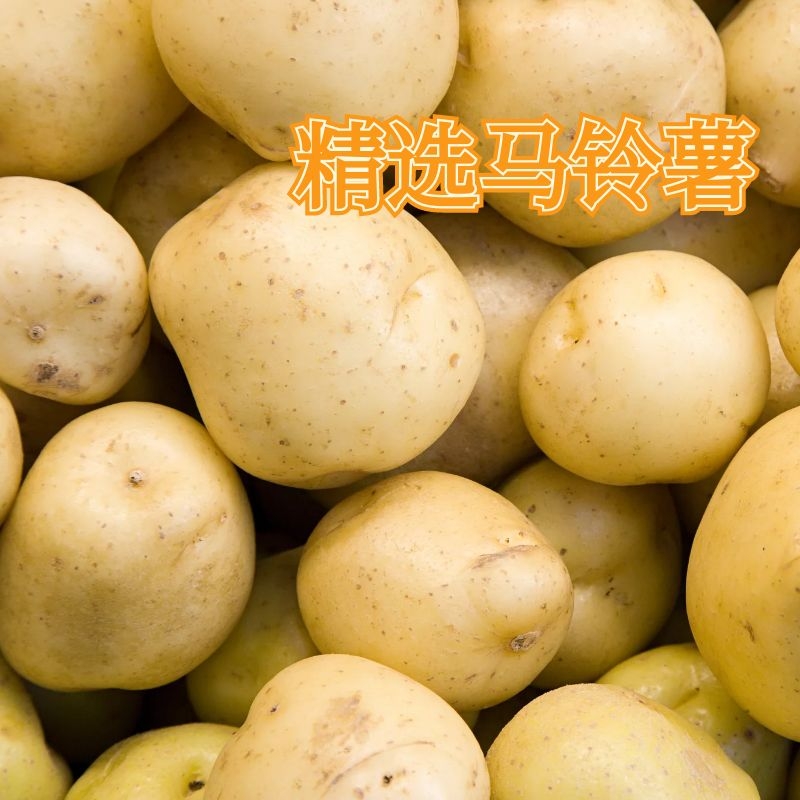 一片一片停不下來的土豆小餅干！薄、香、脆讓人流連忘返